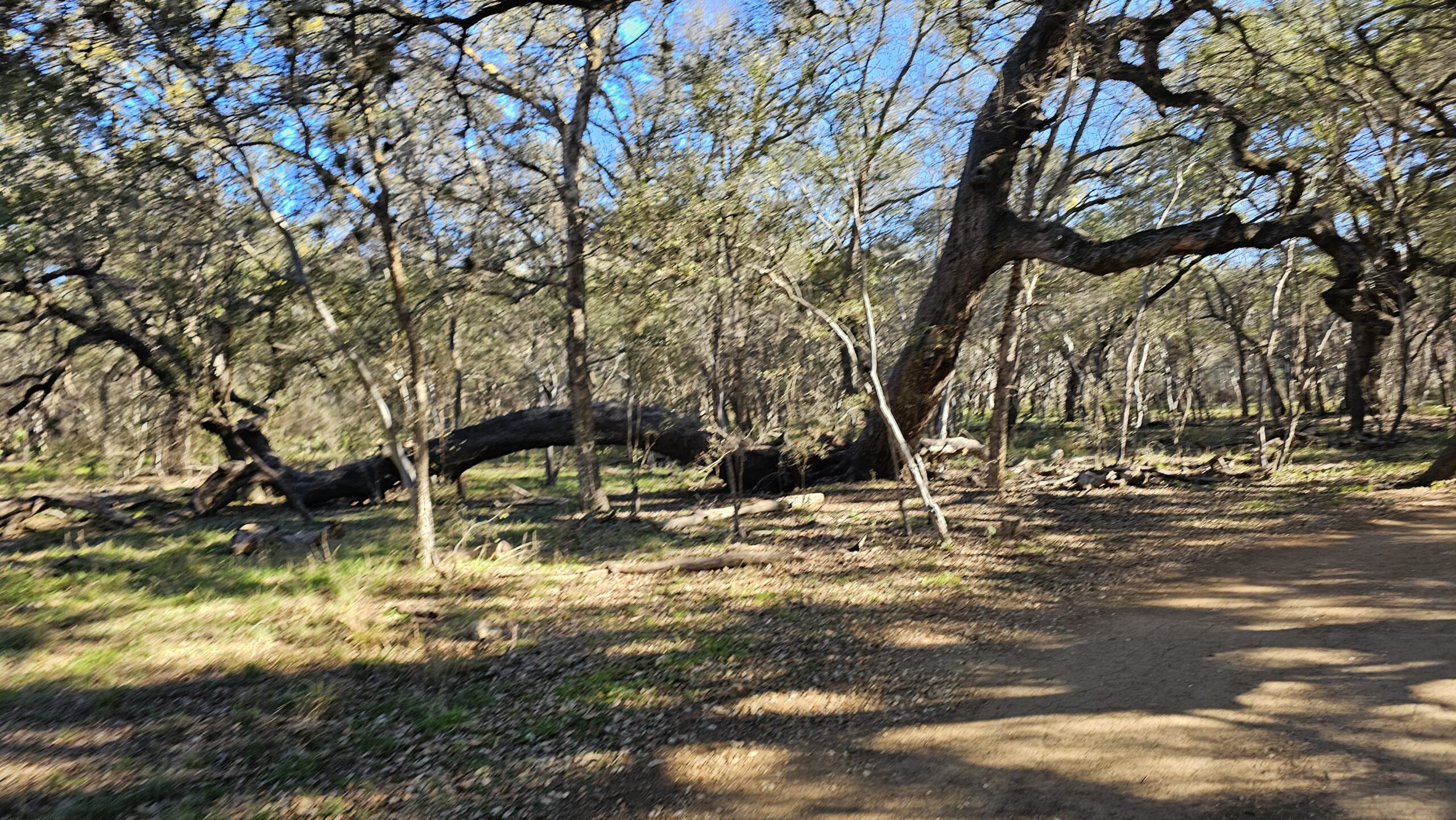 Phil Hardberger Park: Exploring Nature’s Paradise